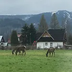 Skoczek Nie Dotyczy Noclegu W Pokoju Mozna Zarezerwowac Namiot Lub Wolne Miejsce Na Campingu 캠프장 *