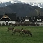 캠프장 Skoczek Nie Dotyczy Noclegu W Pokoju Mozna Zarezerwowac Namiot Lub Wolne Miejsce Na Campingu *