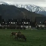 Skoczek Nie Dotyczy Noclegu W Pokoju Mozna Zarezerwowac Namiot Lub Wolne Miejsce Na Campingu * 자코파네