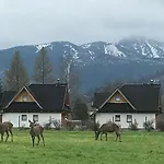 Skoczek Nie Dotyczy Noclegu W Pokoju Mozna Zarezerwowac Namiot Lub Wolne Miejsce Na Campingu Campingplatz Zakopane