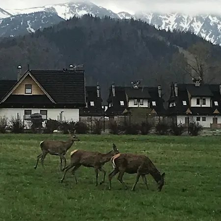 Parque de Campismo Skoczek Nie Dotyczy Noclegu W Pokoju Mozna Zarezerwowac Namiot Lub Wolne Miejsce Na Campingu *