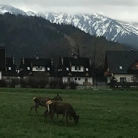 Skoczek Nie Dotyczy Noclegu W Pokoju Mozna Zarezerwowac Namiot Lub Wolne Miejsce Na Campingu * Zakopane
