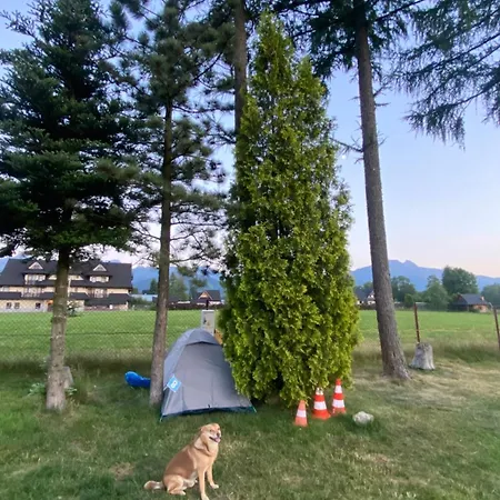 Skoczek Nie Dotyczy Noclegu W Pokoju Mozna Zarezerwowac Namiot Lub Wolne Miejsce Na Campingu Parque de Campismo Zakopane