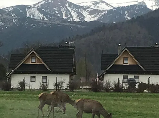 Skoczek Nie Dotyczy Noclegu W Pokoju Mozna Zarezerwowac Namiot Lub Wolne Miejsce Na Campingu Campeggio *