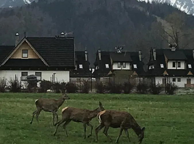 Campeggio Skoczek Nie Dotyczy Noclegu W Pokoju Mozna Zarezerwowac Namiot Lub Wolne Miejsce Na Campingu *